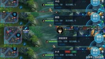 大金鸣技能最新爆料,震撼来袭,战力再升级!