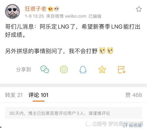 最新爆料阿乐是谁啊,最新爆料中的神秘人物阿乐究竟是谁?